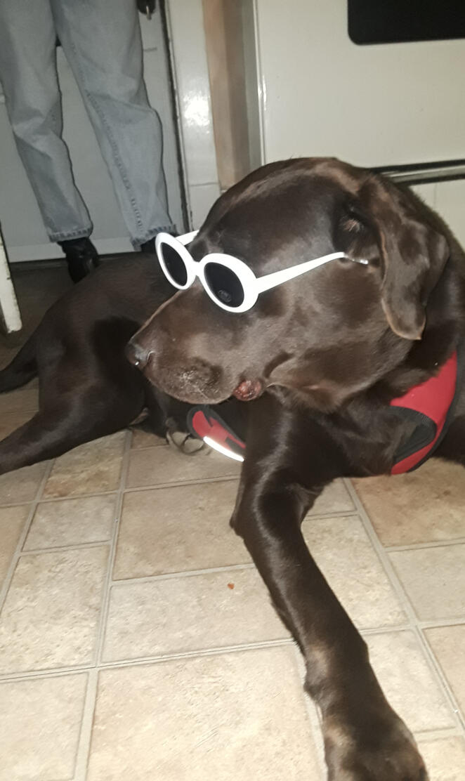 Buddy got clout