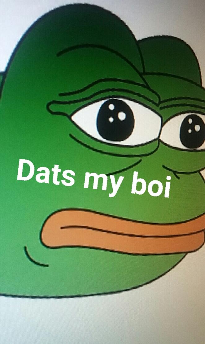 Dat boi