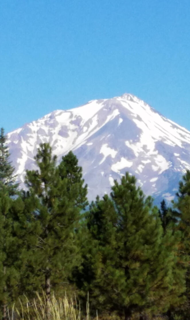 Mt Shasta