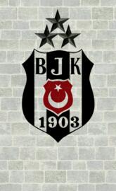 Besiktas 2