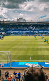 Rcsa