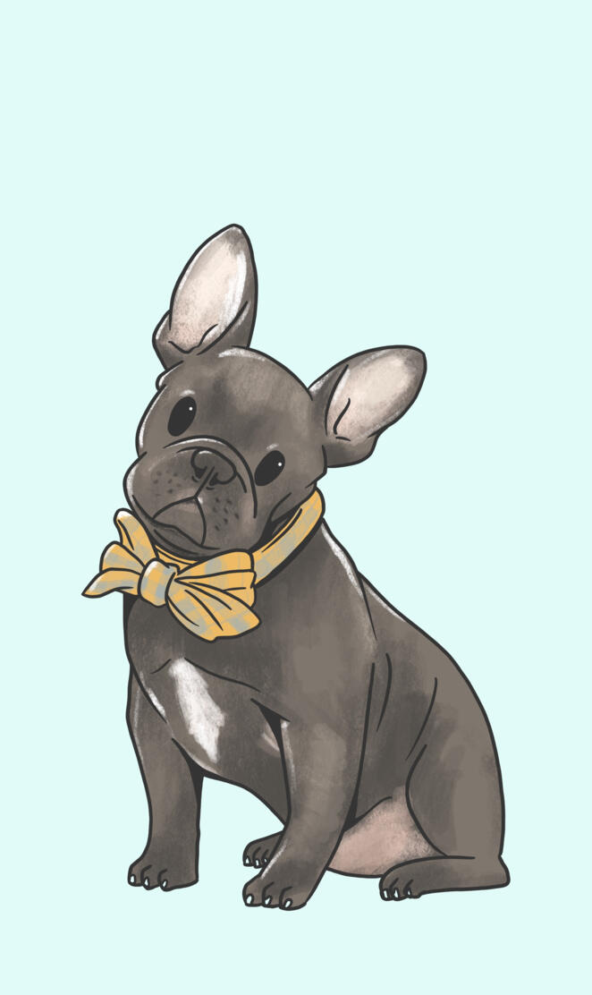 French bulldog