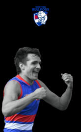 Western bulldogs