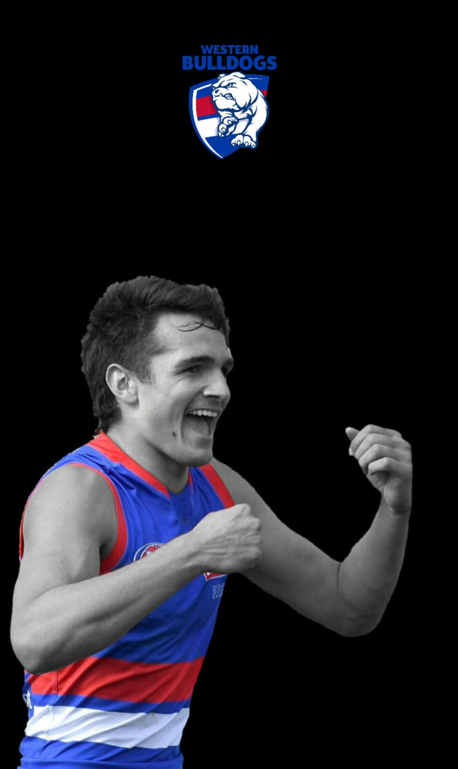 Western bulldogs