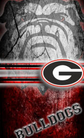 Ga DAWGS