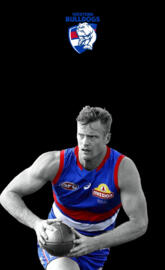 Western bulldogs