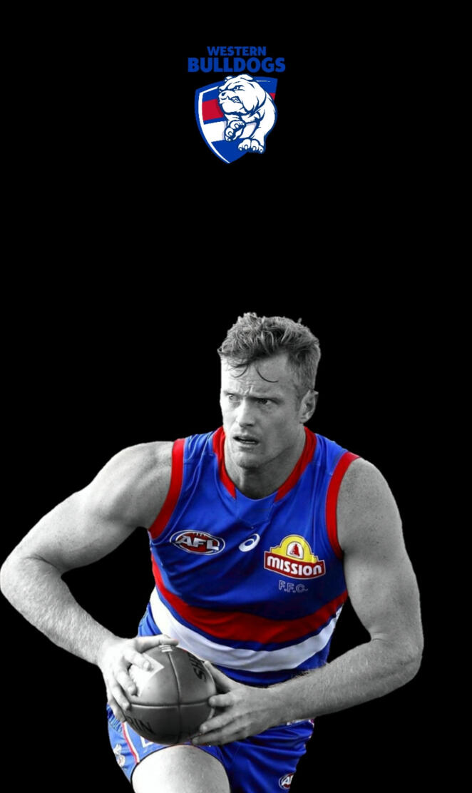 Western bulldogs