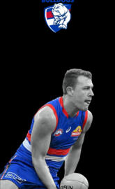 Western bulldogs