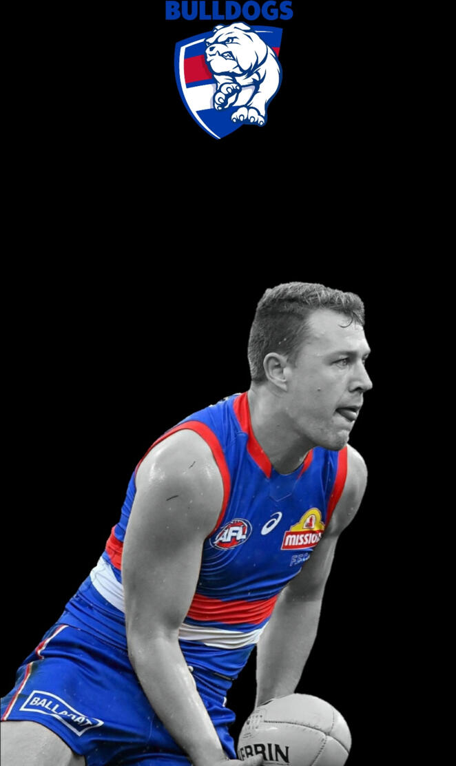 Western bulldogs