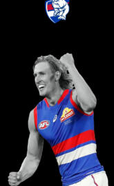 Western bulldogs