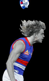 Western bulldogs