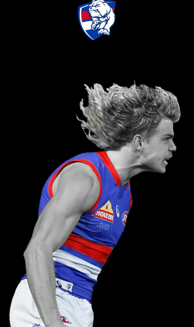 Western bulldogs