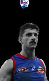 Western bulldogs