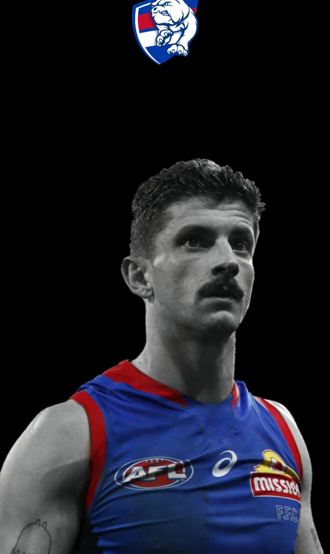 Western bulldogs