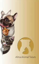 Alma animal
