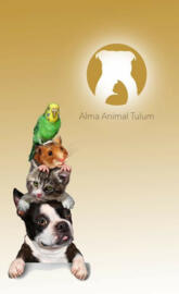 Alma animal