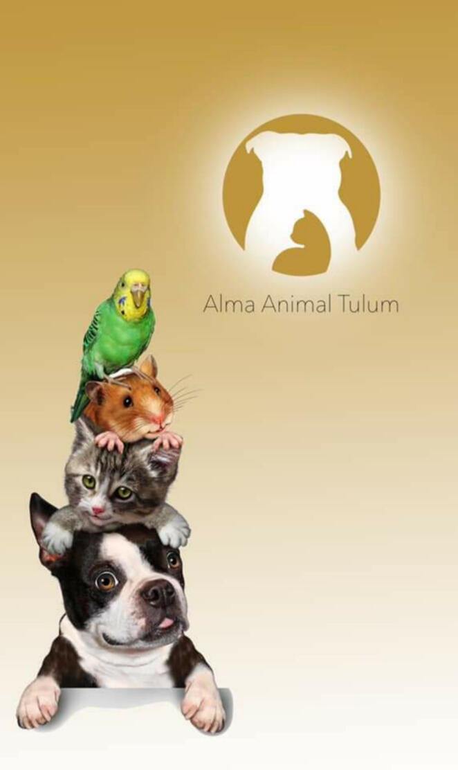 Alma animal