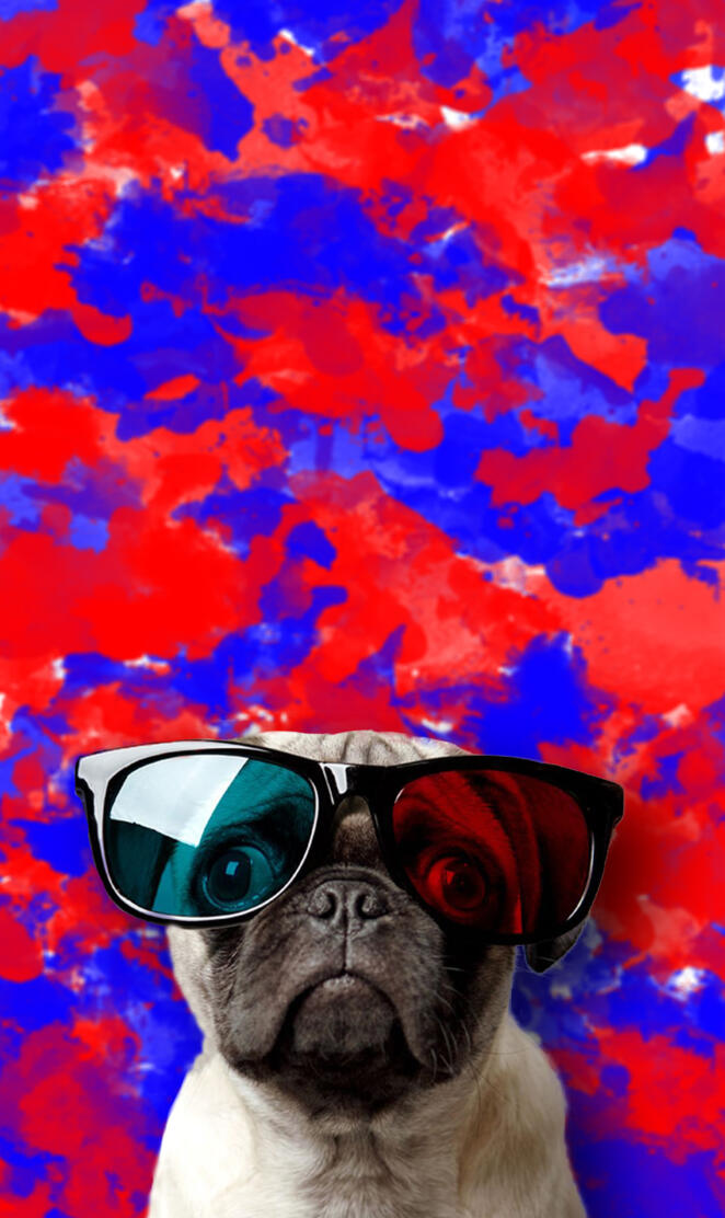 Pug
