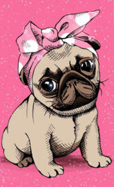 Pug dog