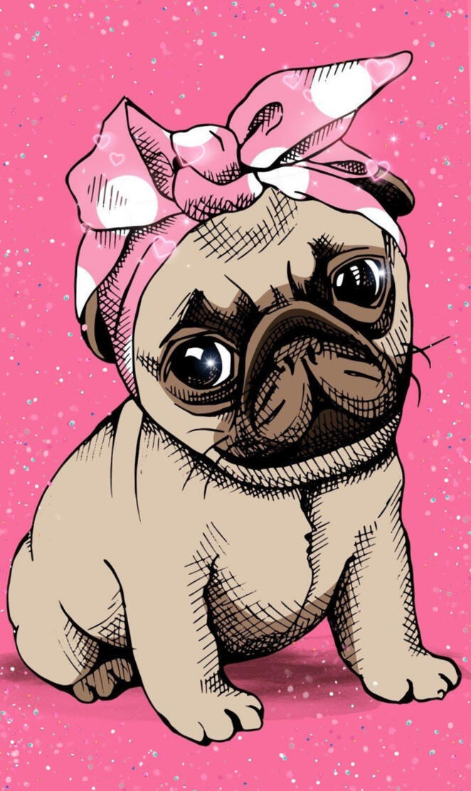 Pug dog