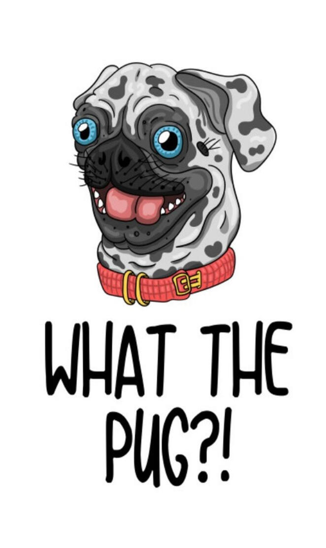what the pug