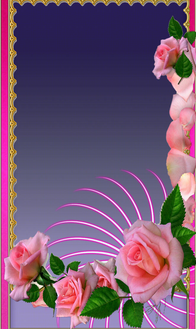 Rose Border