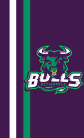 Bulls Potiguares