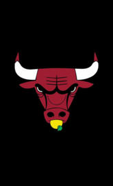 lemonade bulls