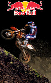 Red bull ktm