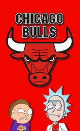 BULLS X RICKnMORTY