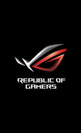 Republic Of Gamers