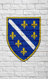 Bosna Republika Grb