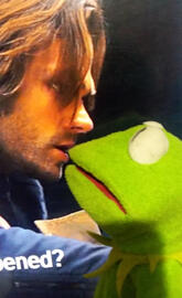Kermit take yo man