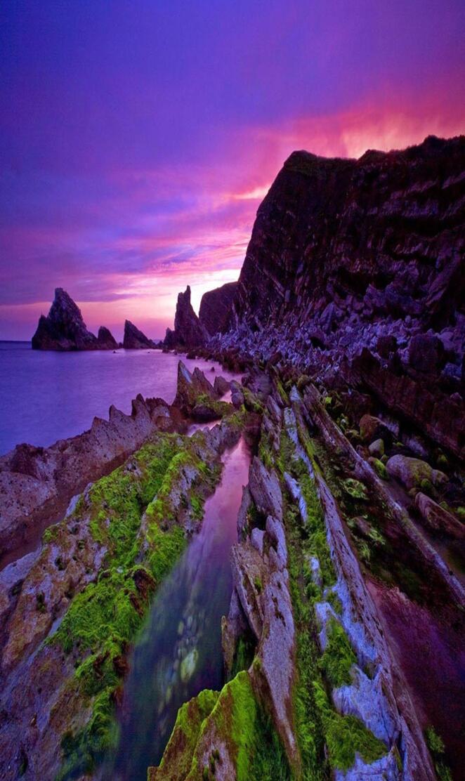 Purple sunset coast