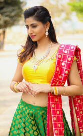 varshini sounderajan