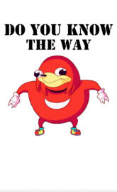 Do You Know The Way