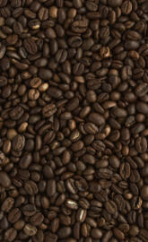 Coffee Beans HQ