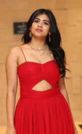 Hebah Patel