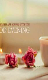 Good evening rose te