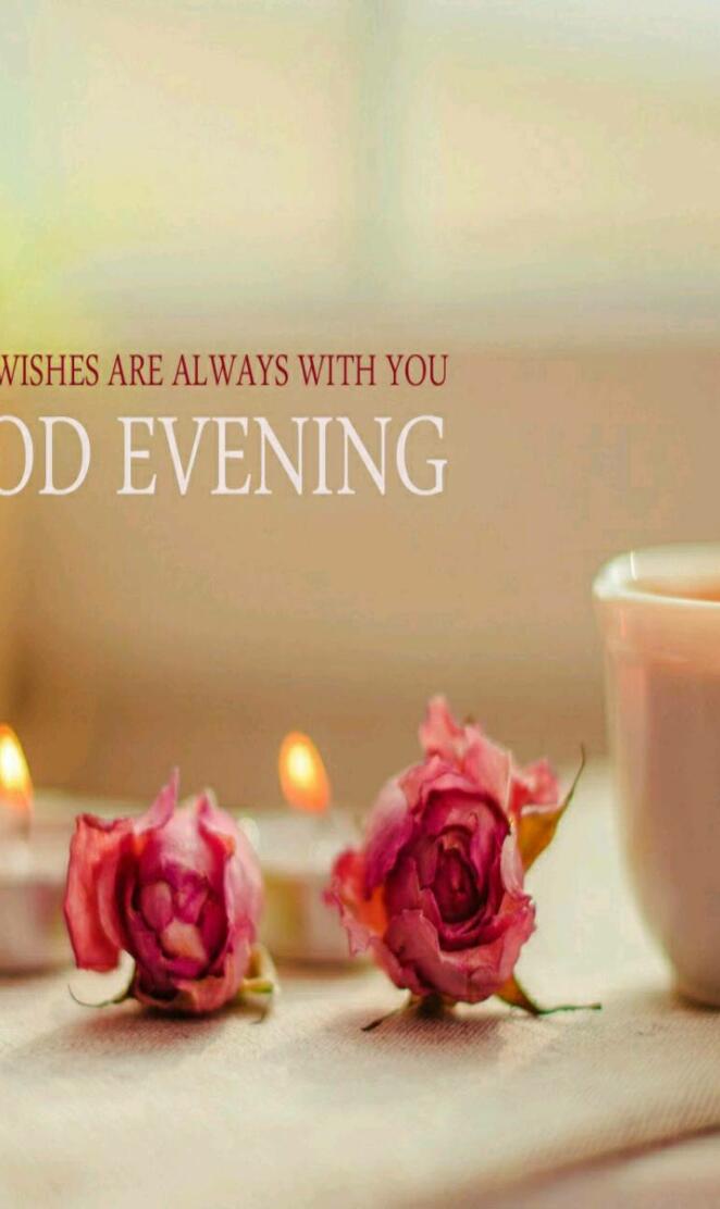 Good evening rose te