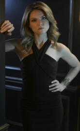 Gotham barbara quenn