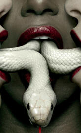 American Horror Stor