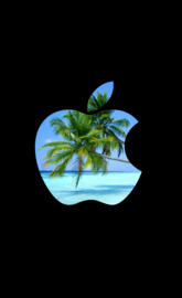 Apple style 096