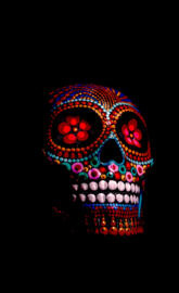 Multi color skull