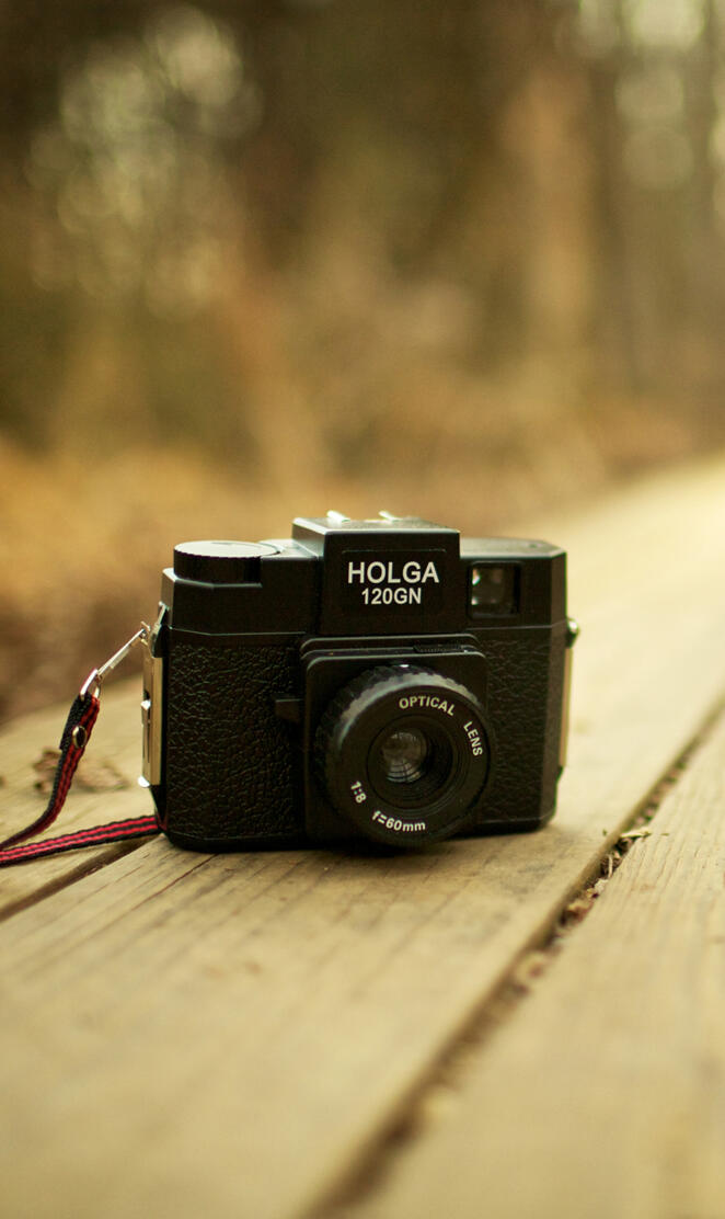 Holga Cam