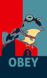 Obey damaged app