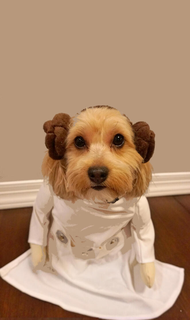 Leia