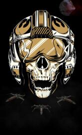 Renegade XWing Pilot