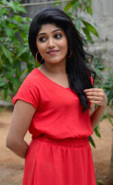 Samyukta hornad