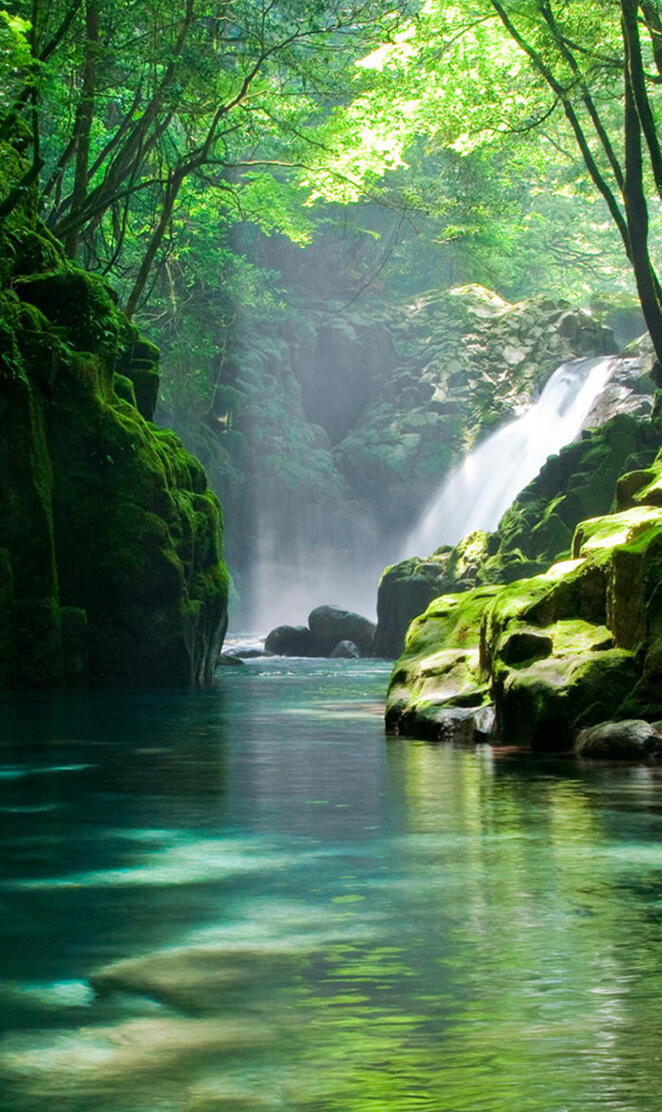 Fresh Mountain creek